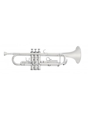 VIENNA  -  TRUMPET BRASS SILVER