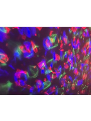 Small LED Disco Ball