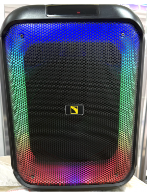 Intimidation CUBE 12 Speaker