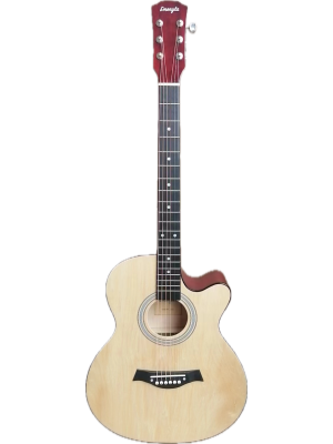 BOBBY GIBBS ACOUSTIC GUITAR