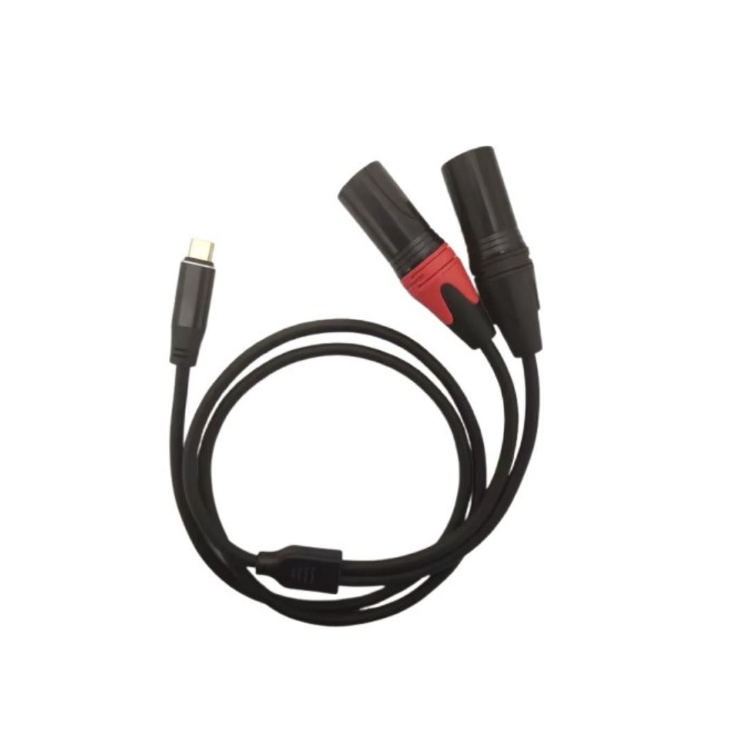 USB-C TO TWIN XLR