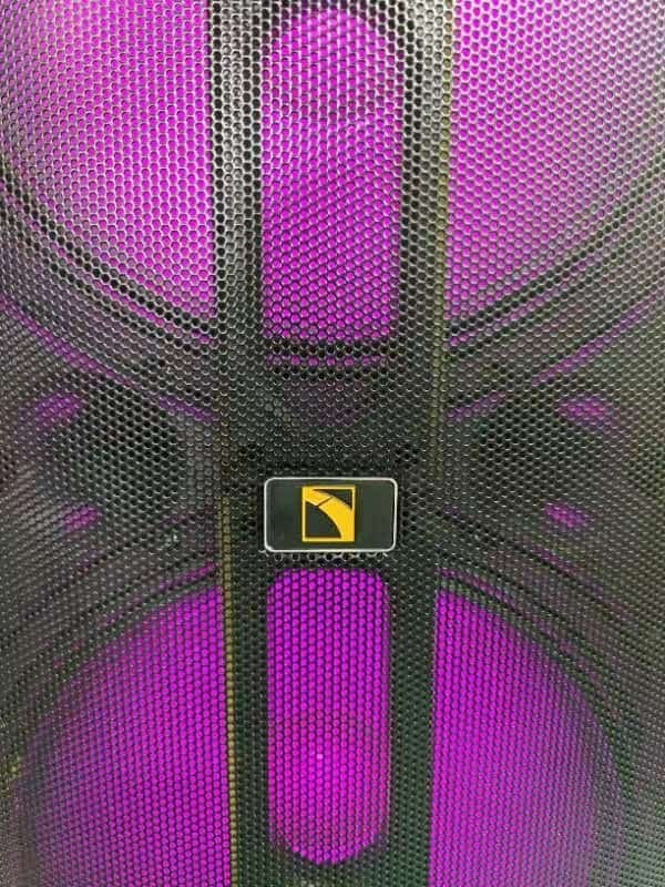 Intimidation BEELINE BL215 TWIN 15"